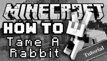 How to Tame a Rabbit in Minecraft image 0