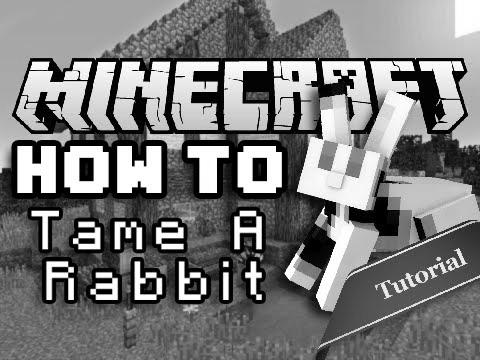 How to Tame a Rabbit in Minecraft image 0