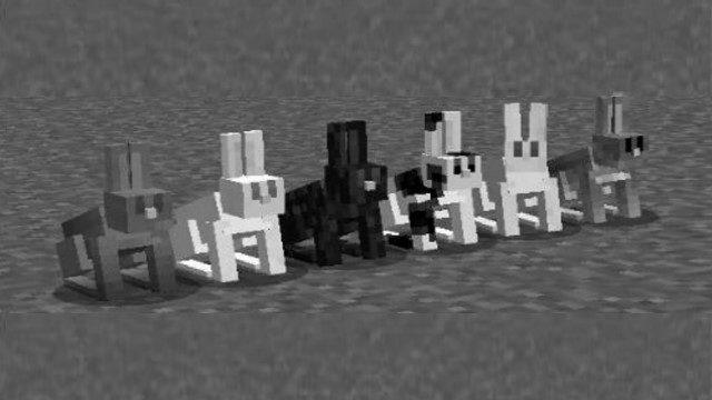 How to Tame a Rabbit in Minecraft image 2