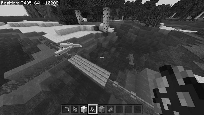 Can You Breed Dolphins in Minecraft? photo 0
