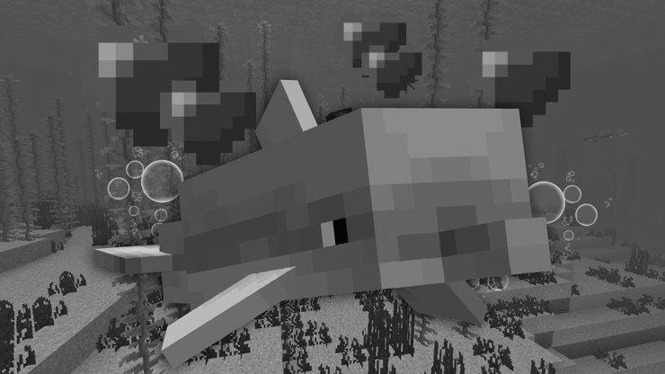 Can You Breed Dolphins in Minecraft? photo 1