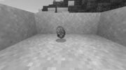What Can You Do With a Nautilus Shell in Minecraft? image 0
