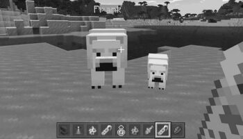 Can You Tame Polar Bears in Minecraft? image 0
