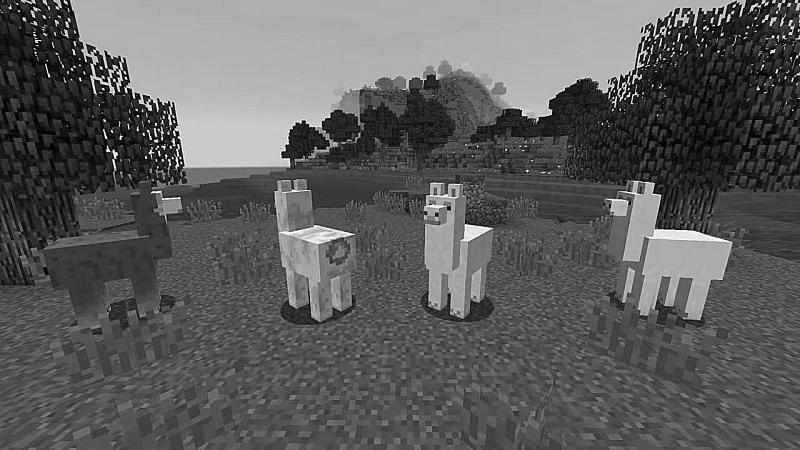 How to Breed Llamas in Minecraft photo 1