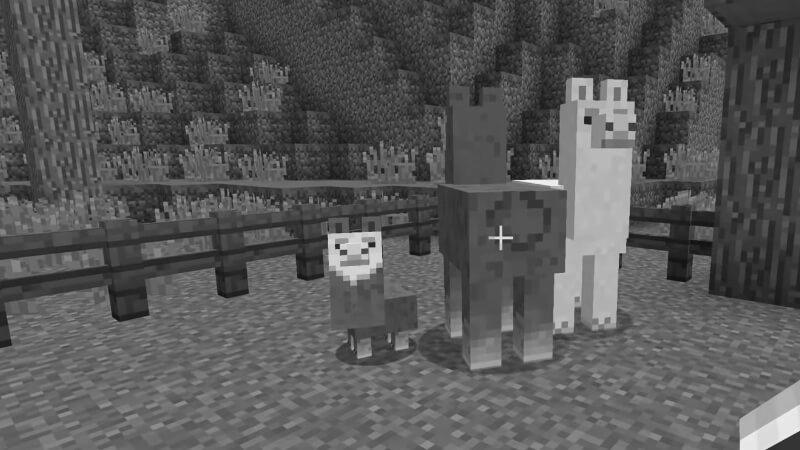 How to Breed Llamas in Minecraft photo 2
