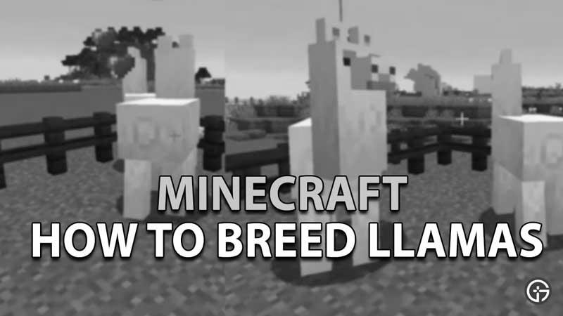 How to Breed Llamas in Minecraft photo 3