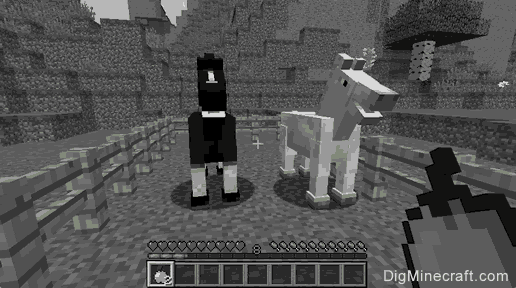 How to Breed Horses in Minecraft image 1