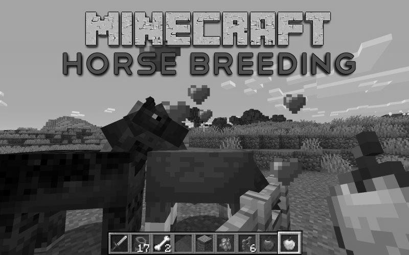 How to Breed Horses in Minecraft image 2