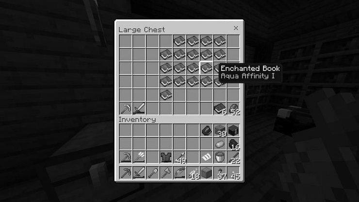 What Can You Get From Fishing in Minecraft? photo 2