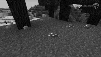 How to Grow Mushrooms in Minecraft image 0