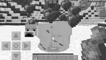 How to Breed Polar Bears in Minecraft photo 0