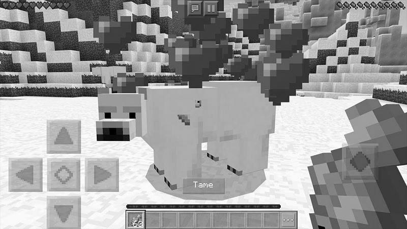 How to Breed Polar Bears in Minecraft photo 0