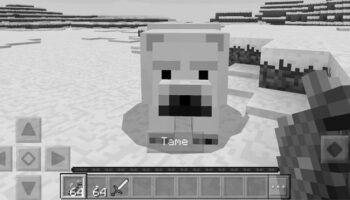 Can You Tame a Polar Bear in Minecraft? photo 0
