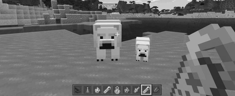 Can You Tame a Polar Bear in Minecraft? photo 2