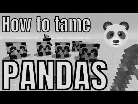 How to Tame Pandas in Minecraft image 1
