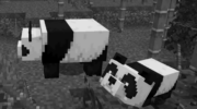 How to Tame a Panda in Minecraft image 0