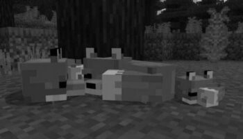 How to Tame a Nocturnal Fox in Minecraft image 0