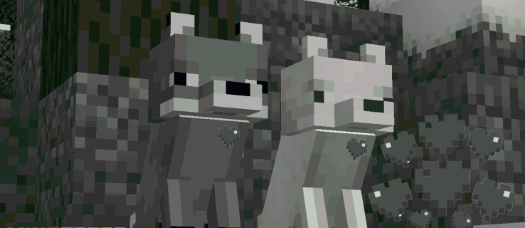 How to Tame a Nocturnal Fox in Minecraft image 1