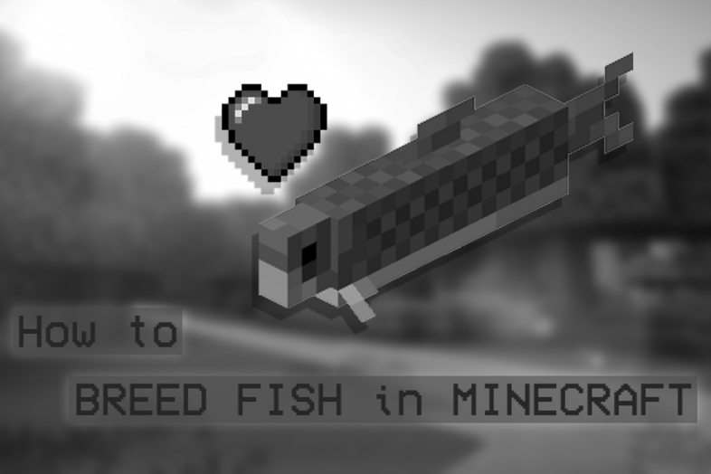 Can You Breed Fish in Minecraft? photo 1