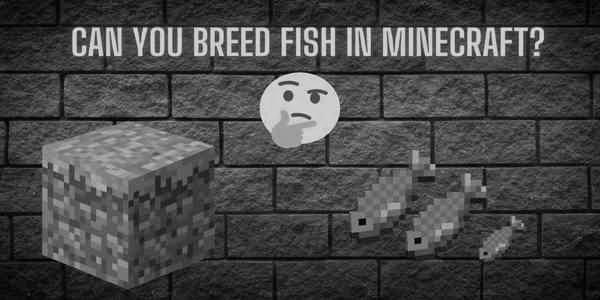 Can You Breed Fish in Minecraft? photo 2