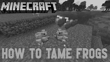 How to Tame Frogs in Minecraft photo 0