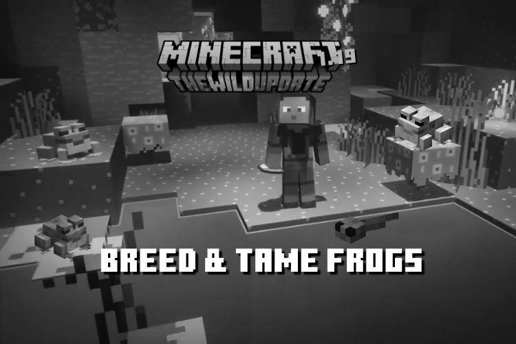 How to Tame Frogs in Minecraft photo 1